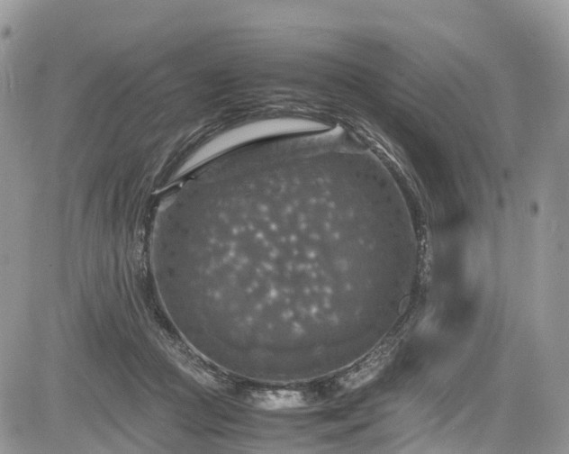 X0000085270361200703161435