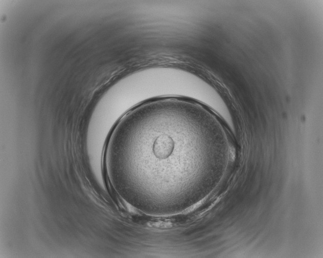 X0000085270362200703161436