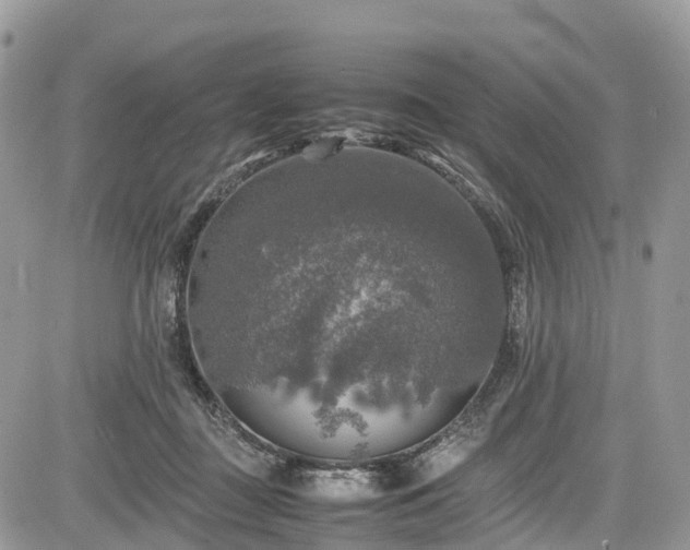 X0000085270363200703161436