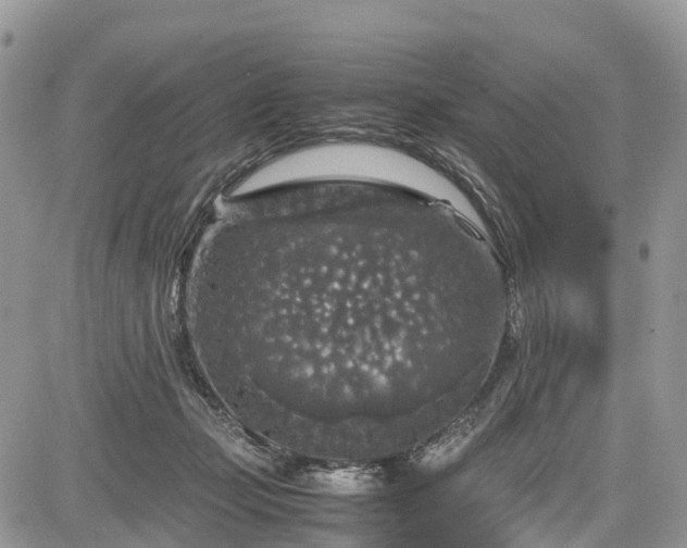 X0000085270365200703161436