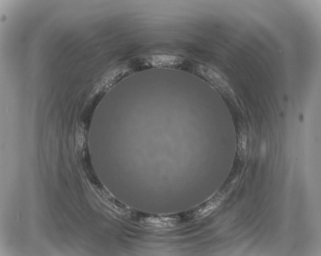 X0000085270367200703161436