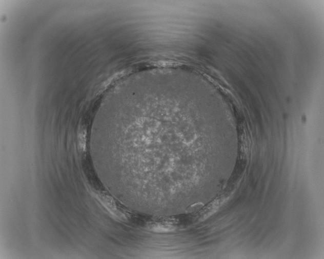 X0000085270368200703161436