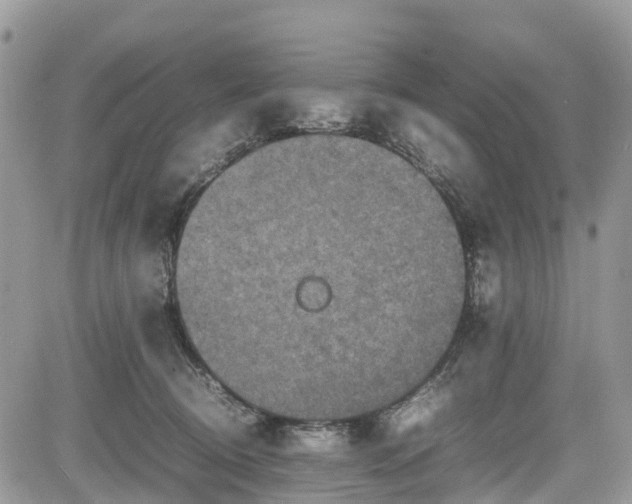 X0000085270370200703161436