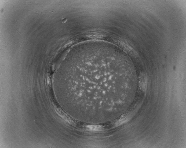 X0000085270371200703161436