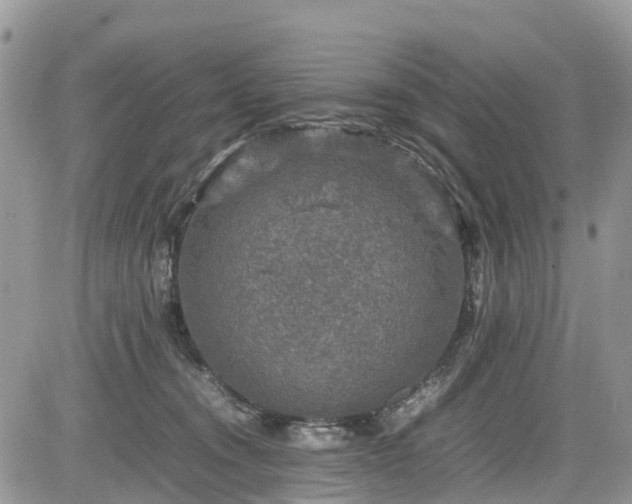 X0000085270372200703161436