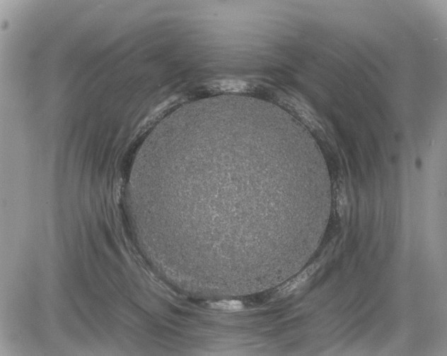 X0000085270374200703161436