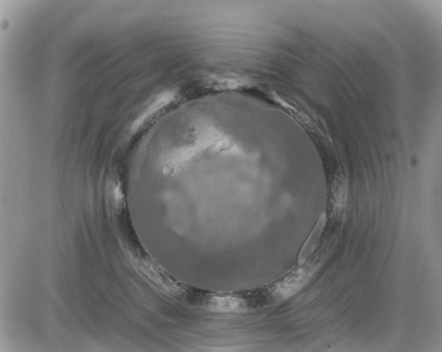 X0000085270376200703161436