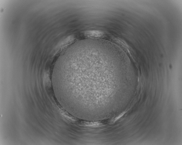 X0000085270377200703161436