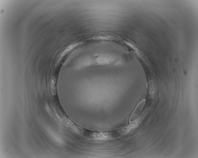 X0000085270378200703161436