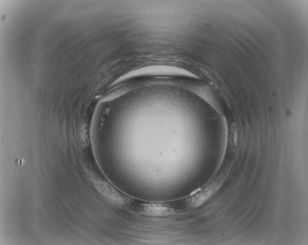 X0000085270380200703161436