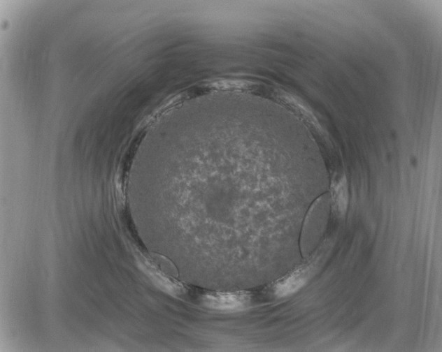 X0000085270381200703161436