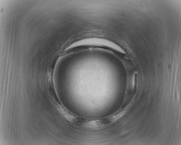 X0000085270382200703161436