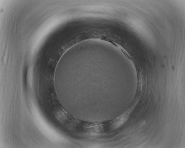 X0000085270383200703161436