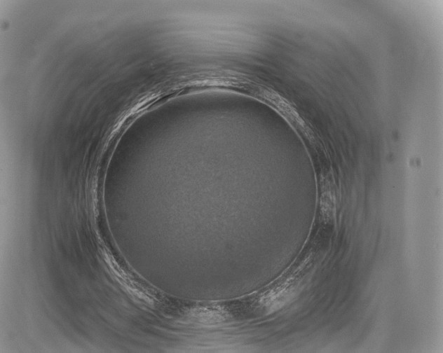 X0000085270386200703161435