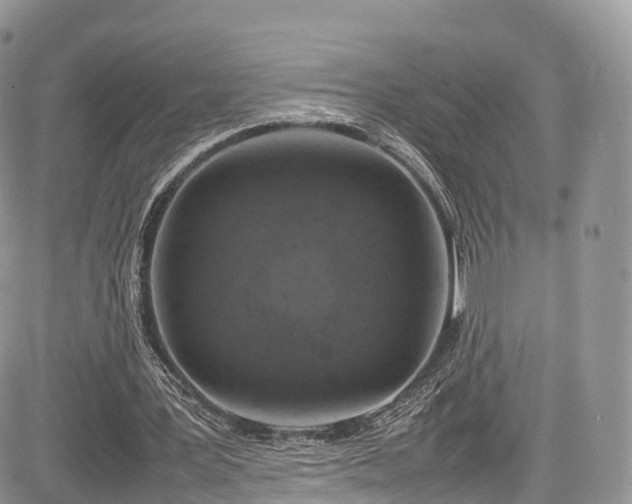 X0000085270387200703161435