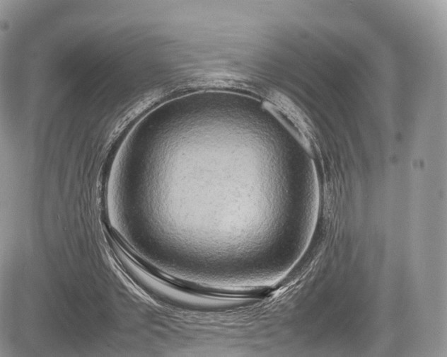 X0000085270389200703161435