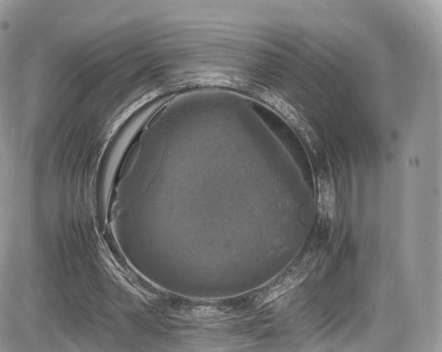 X0000085270390200703161435