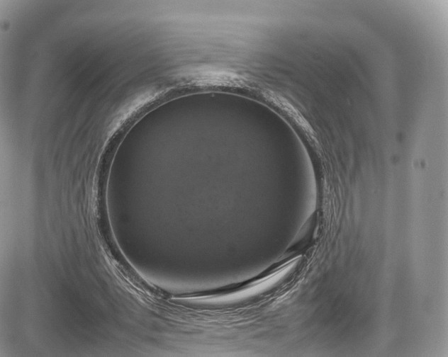 X0000085270391200703161435