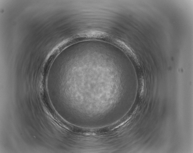 X0000085270392200703161435