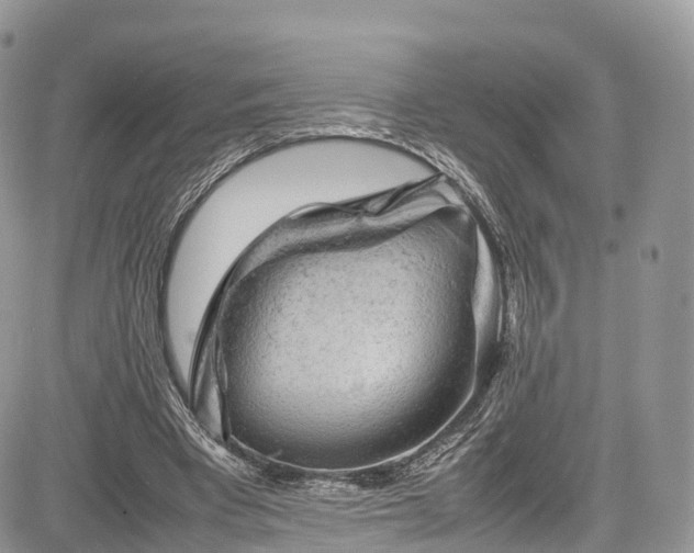 X0000085270393200703161435