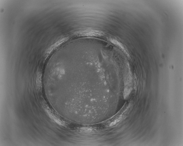 X0000085270394200703161435