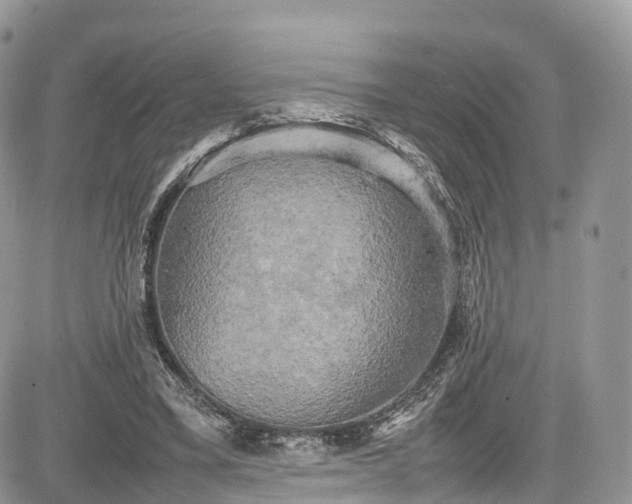 X0000085270395200703161435