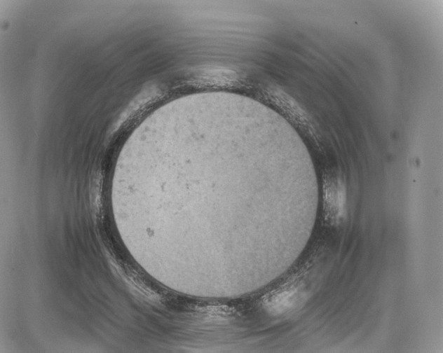 X0000085270396200703161435