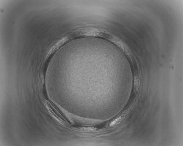 X0000085270397200703161435