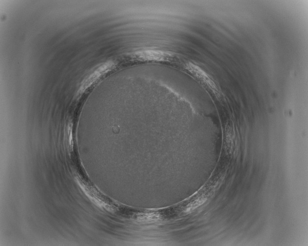 X0000085270398200703161435