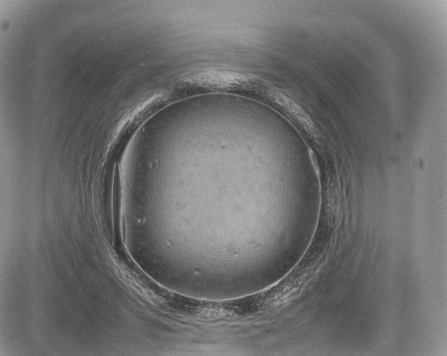 X0000085270399200703161435