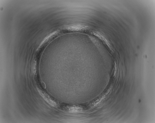 X0000085270400200703161435