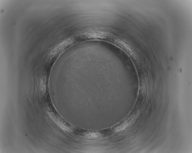 X0000085270402200703161435