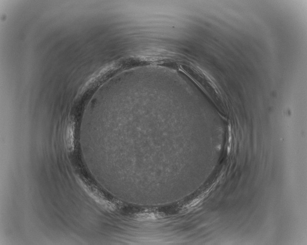 X0000085270404200703161435