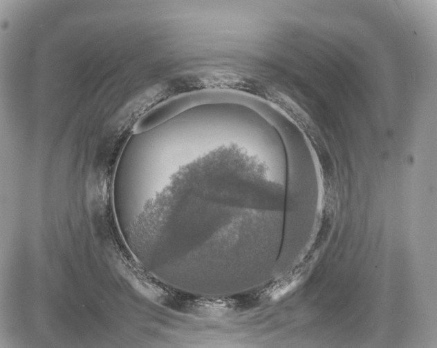 X0000085270405200703161435