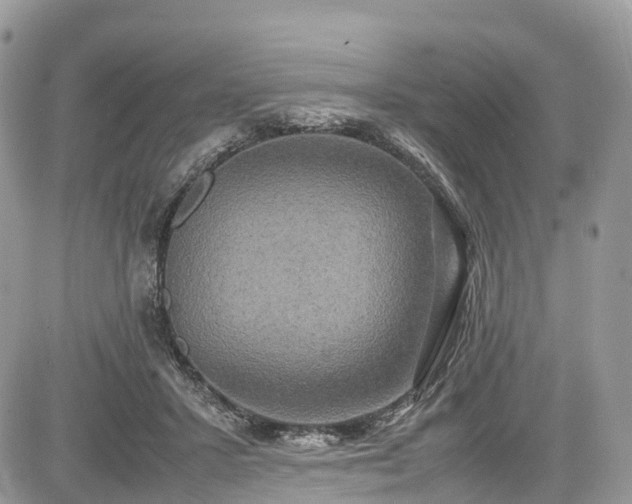 X0000085270407200703161435