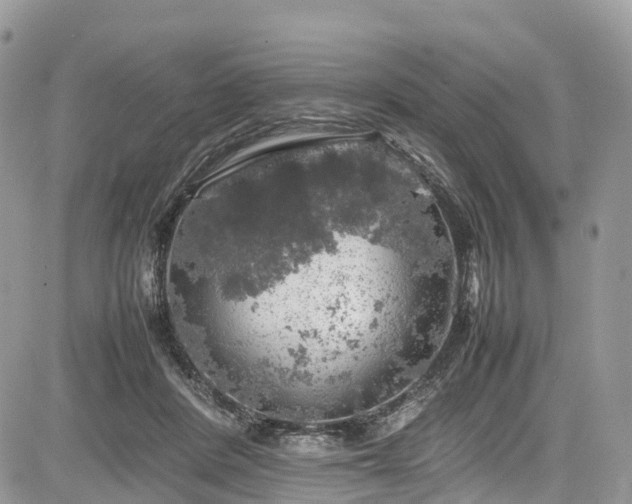 X0000085270408200703161435