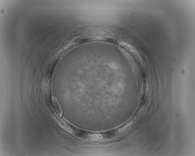 X0000085270409200703161435