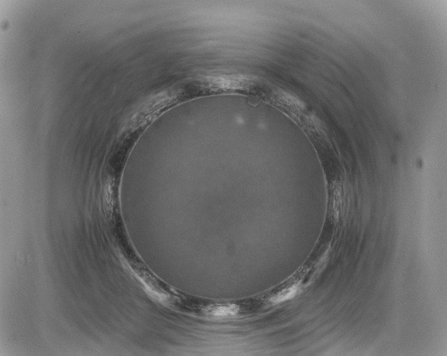 X0000085270410200703161435