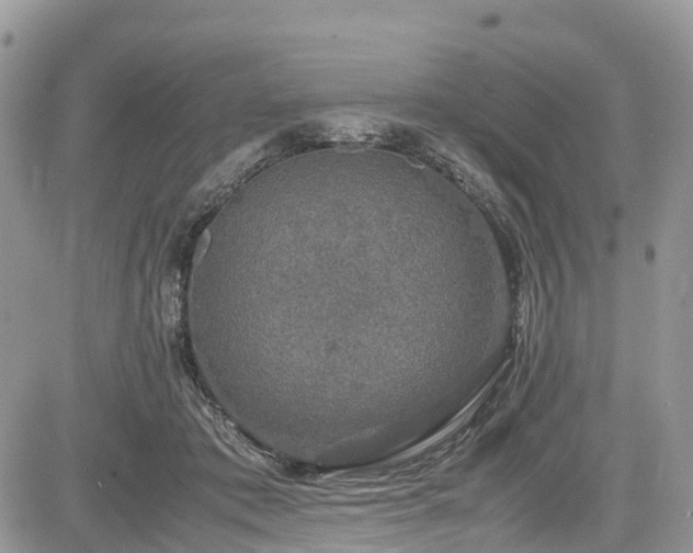 X0000085270413200703161435