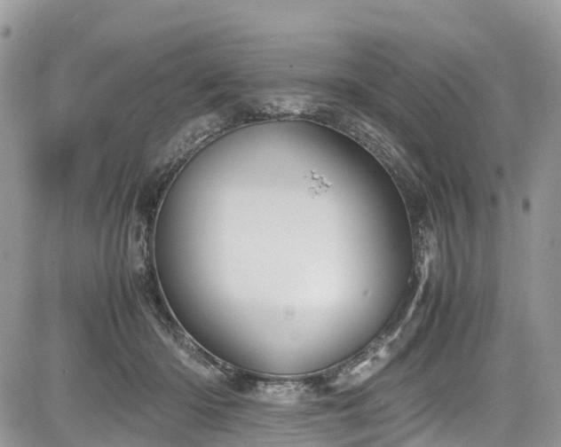 X0000085270414200703161435