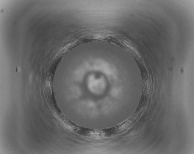 X0000085270415200703161435