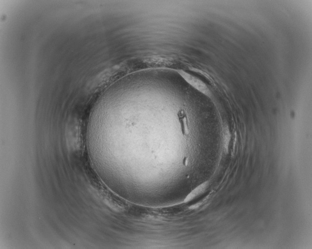 X0000085270416200703161435