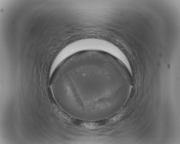 X0000085270417200703161435