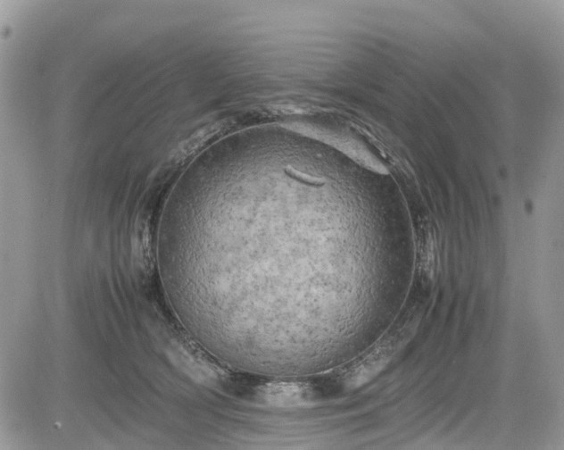 X0000085270418200703161435