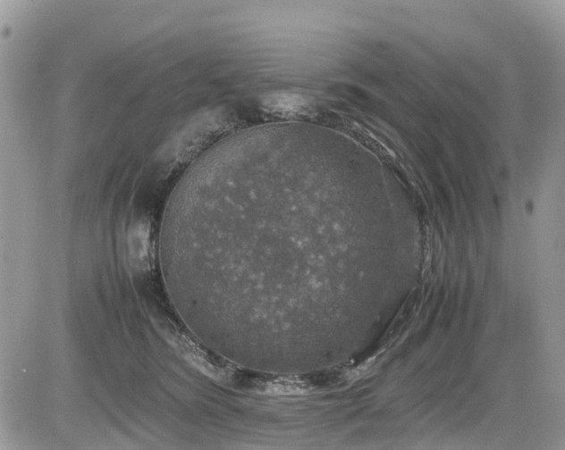 X0000085270420200703161434