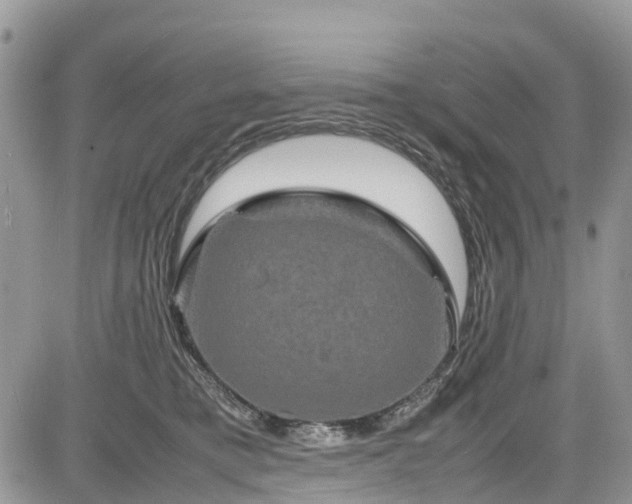 X0000085270421200703161434