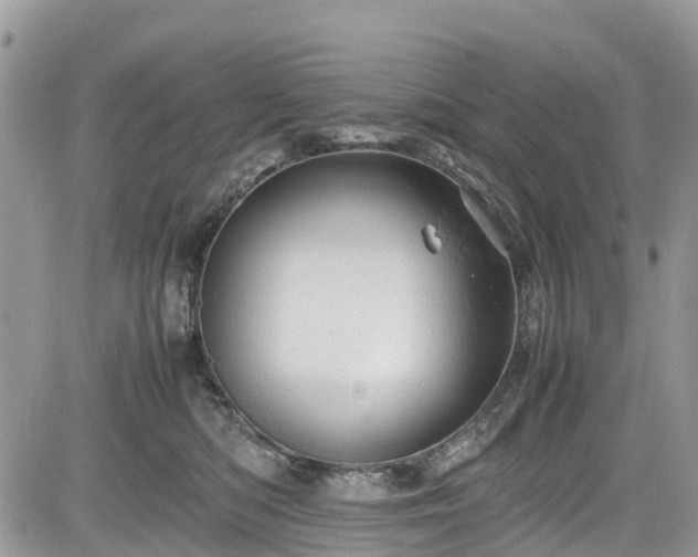 X0000085270422200703161434