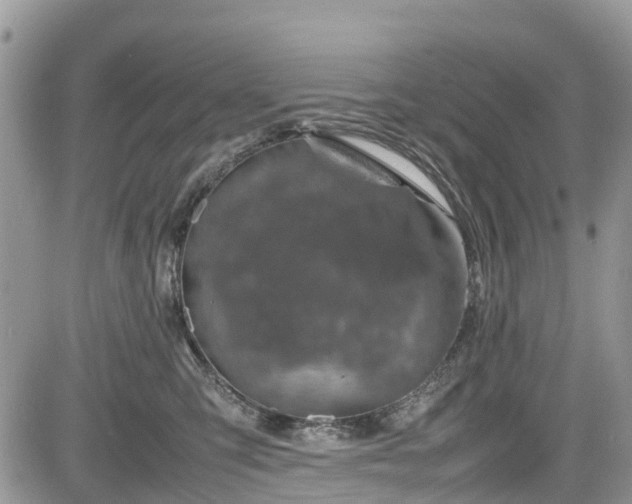 X0000085270423200703161434