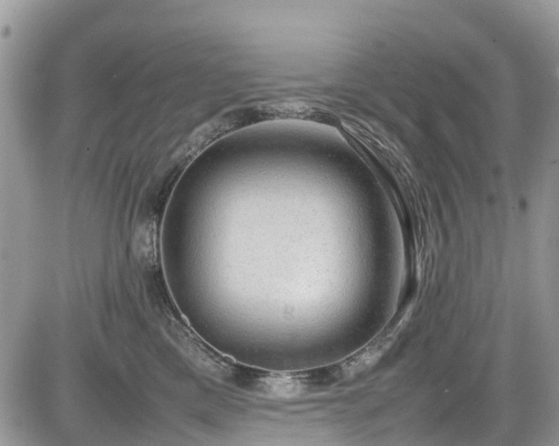 X0000085270425200703161434