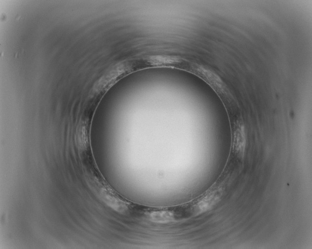 X0000085270426200703161434